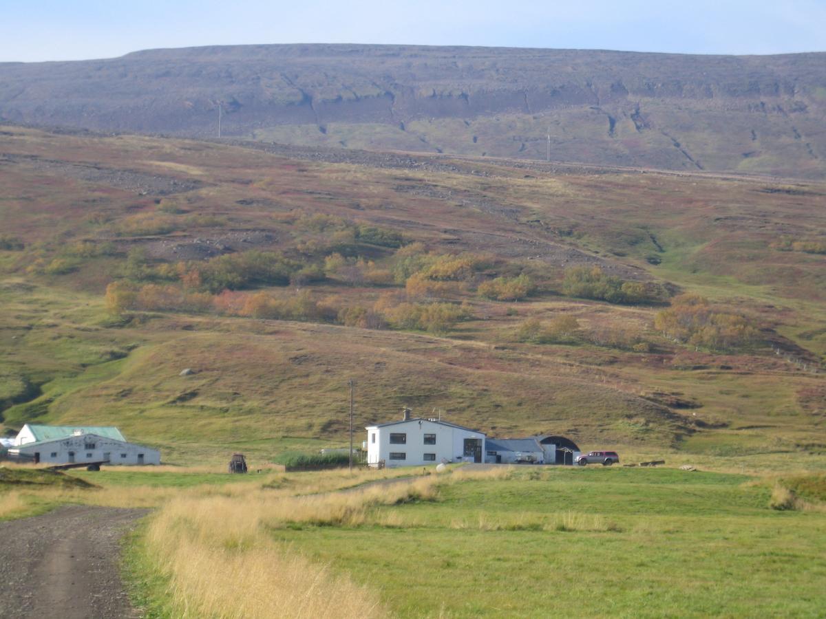 Hlitharendi Guesthouse Godafoss Kültér fotó